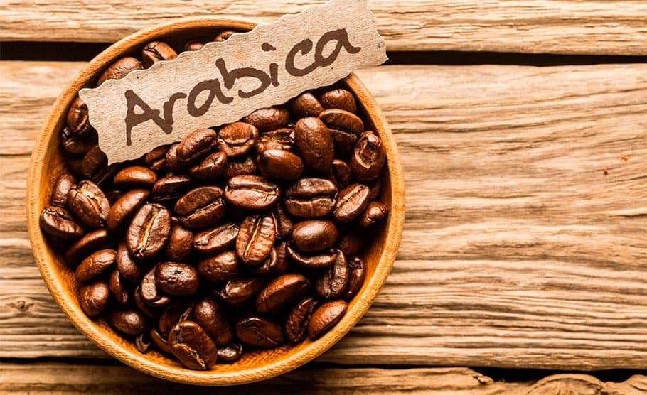 o que e cafe arabica tricurioso