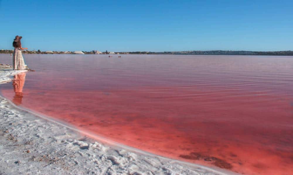 o lago rosa de torrevieja
