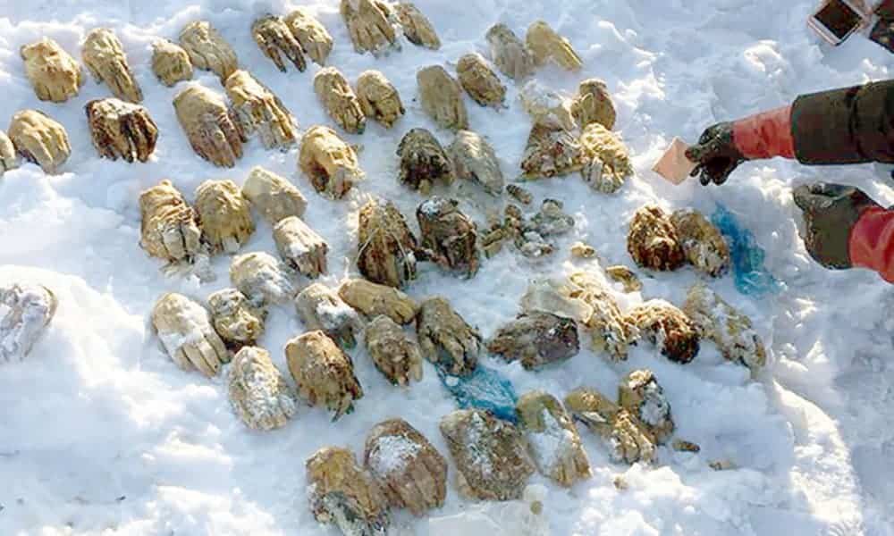54 maos encontradas mala na russia tricurioso