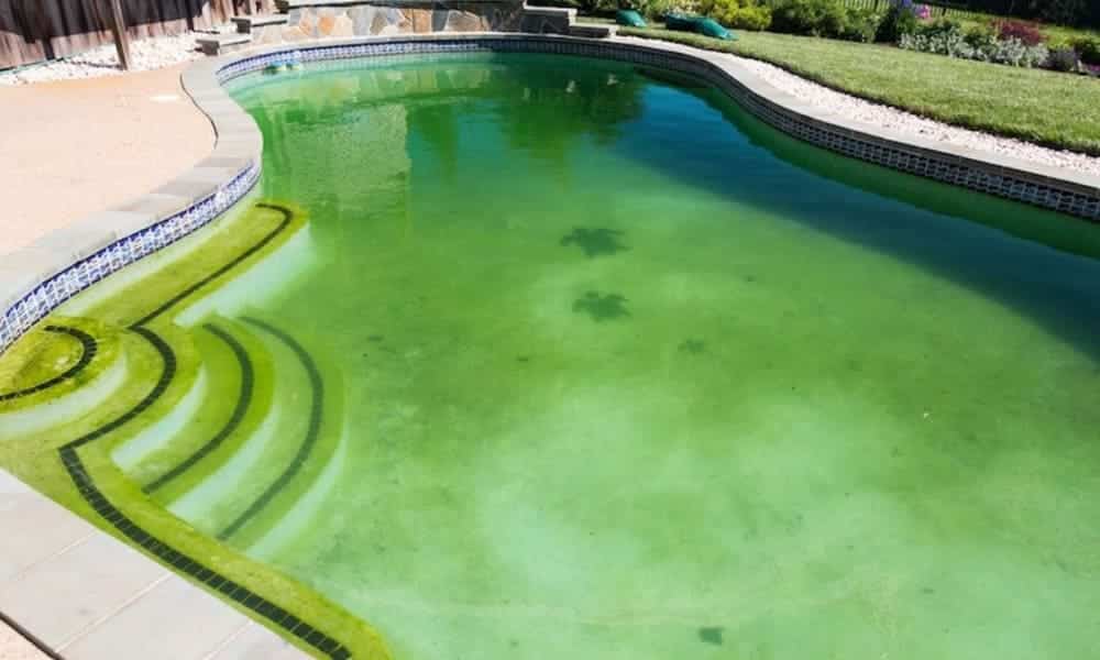 por que a agua da piscina fica verde