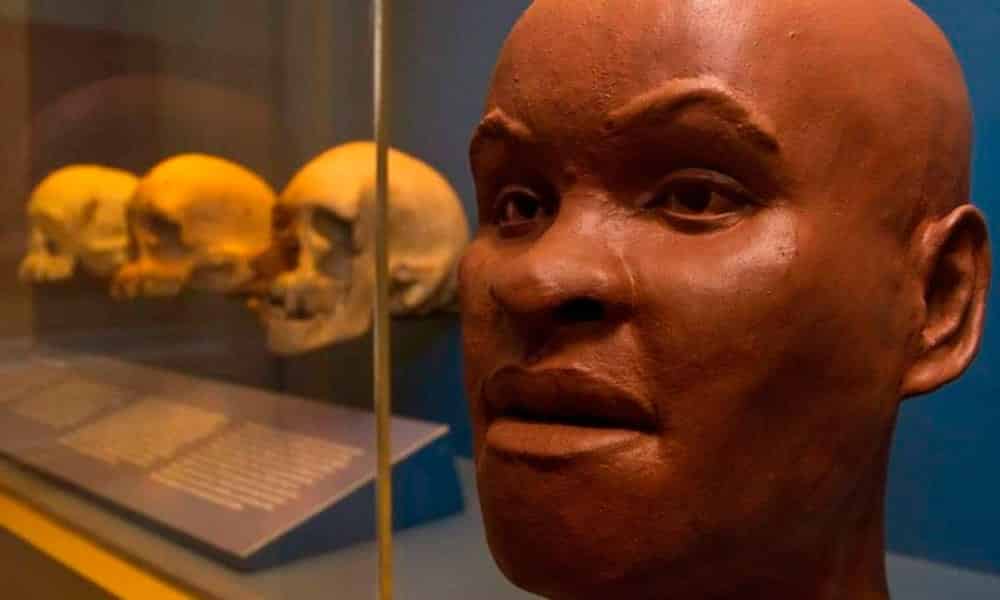cranio de luzia encontrado museu nacional tricurioso