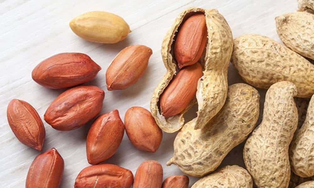 quais sao os beneficios do amendoim para a saude
