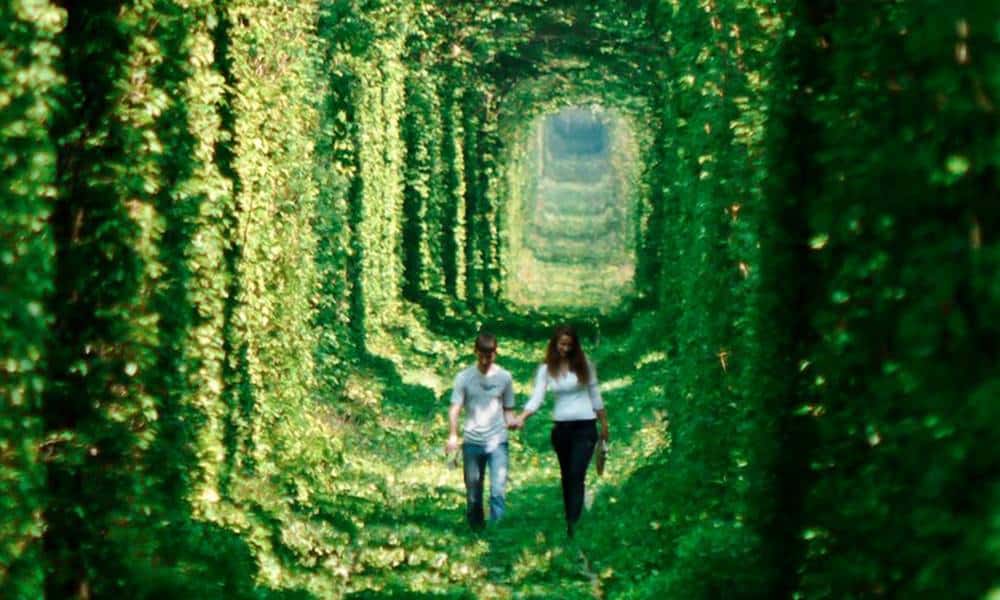 conheca o exotico e romantico tunel do amor na ucrania