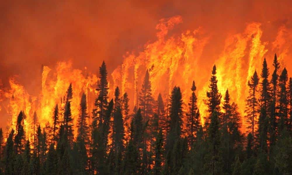o que causa os incendios florestais