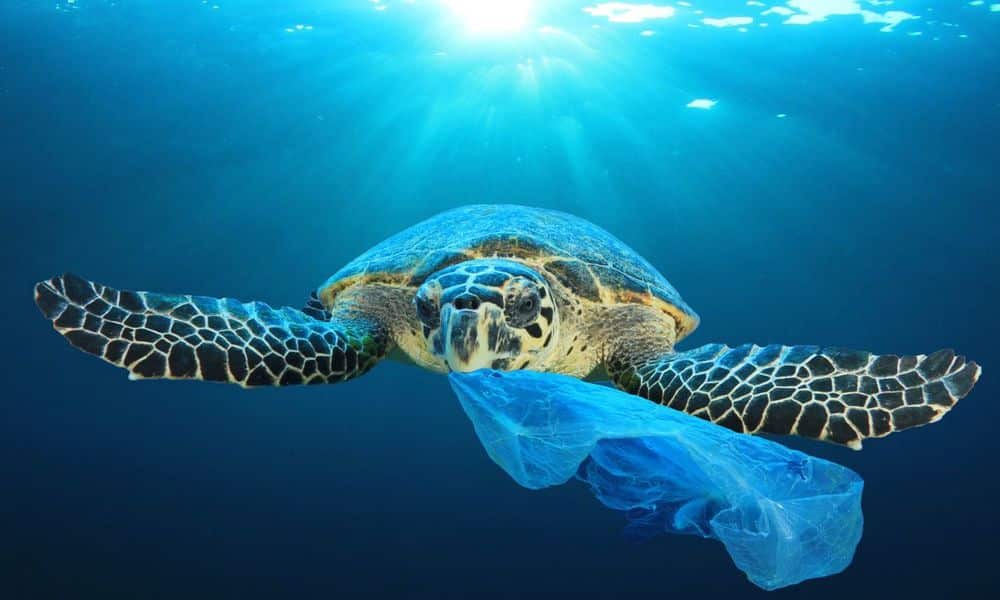 poluição plastico oceano tricurioso