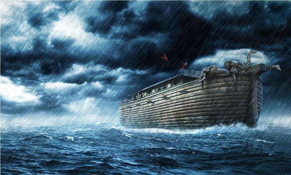 arca de noé tricurioso