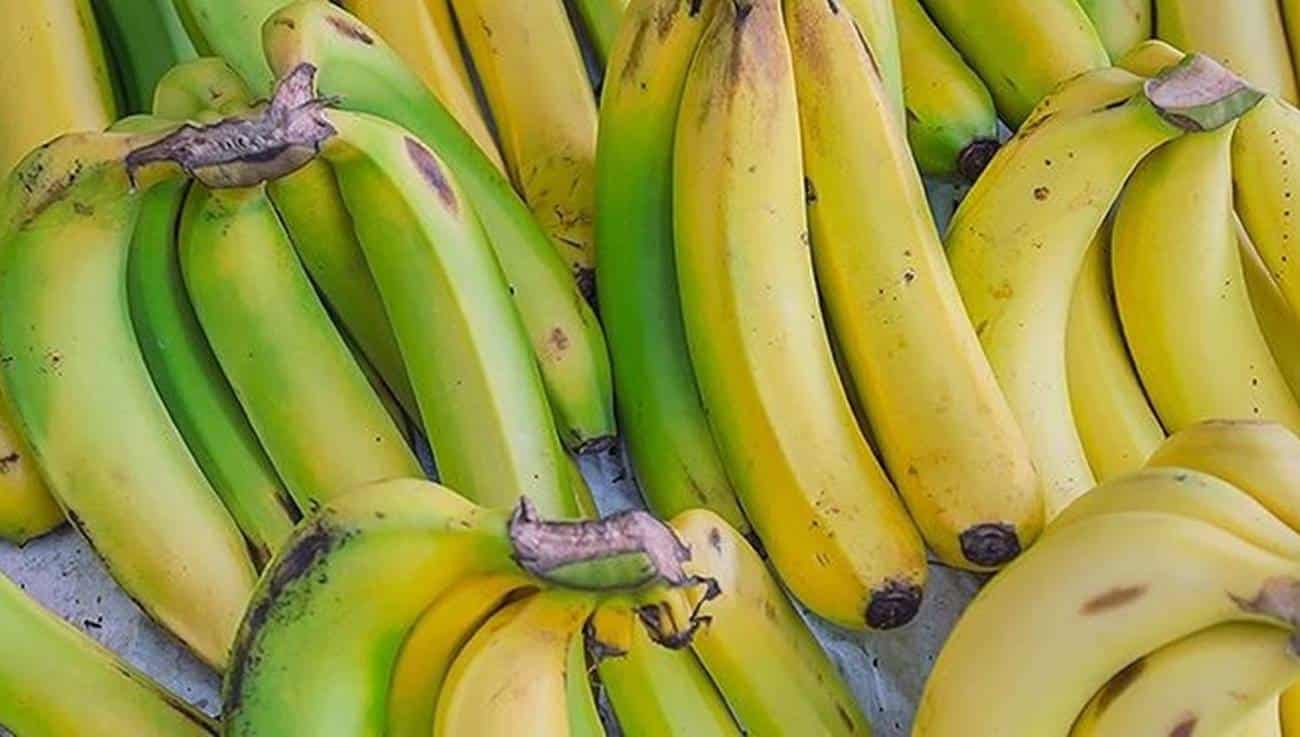 Можно есть зеленые бананы. Неспелый банан. Недозрелые бананы. Радужные бананы. Зеленые и желтые бананы.
