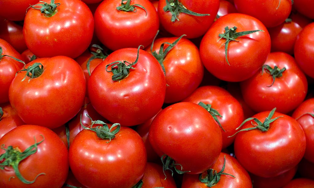 beneficios tomate saude tricurioso 1 1