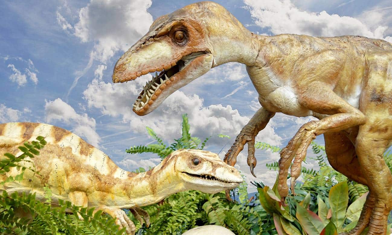 como os paleontologos conseguem determinar as cores dos dinossauros 1 1