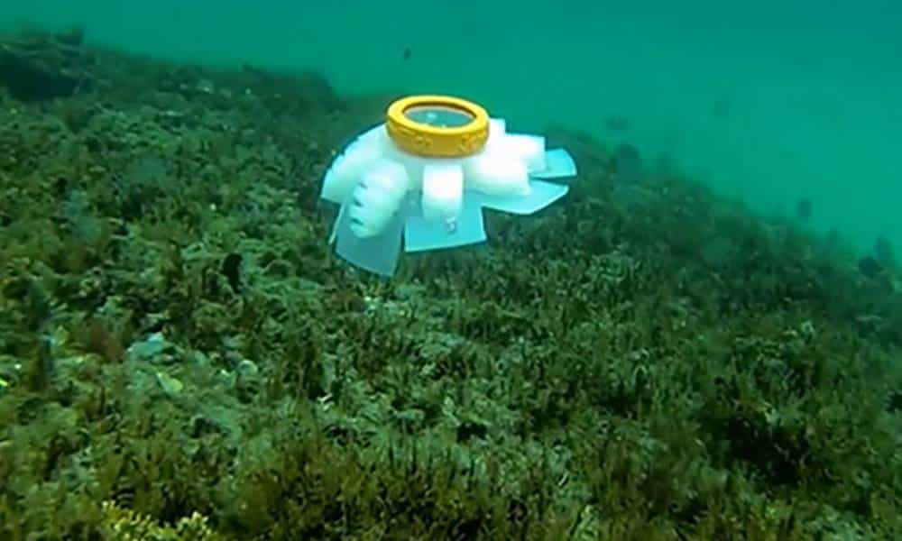 conheca a agua viva robotica que promete ajudar no estudo dos corais 1 1