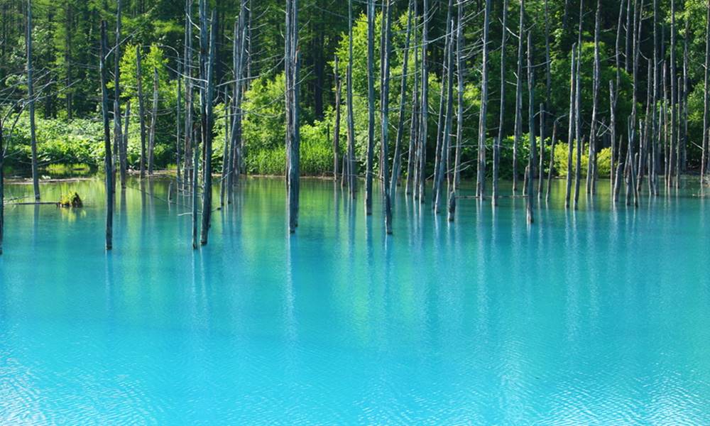 conheca a belissima lagoa azul de hokkaido no japao 1 1