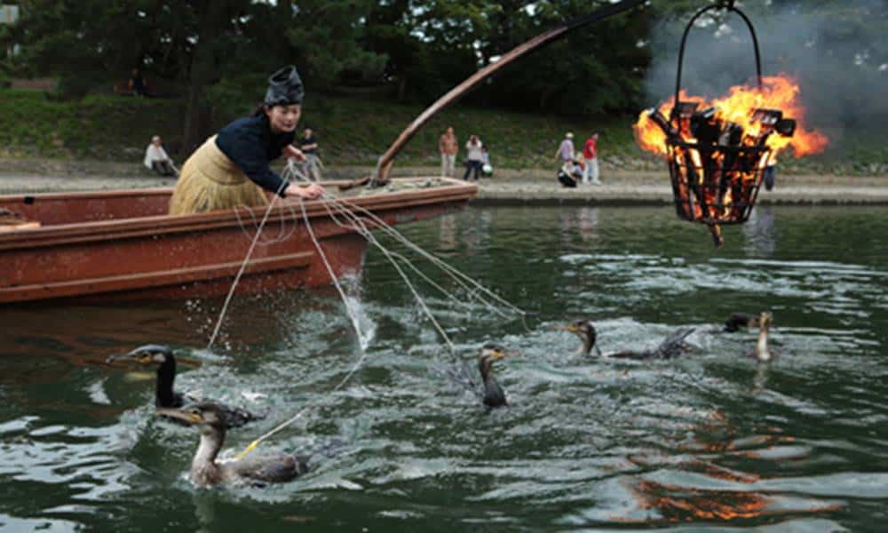 conheca o ukai a tecnica japonesa de pesca com o uso de aves 1 1