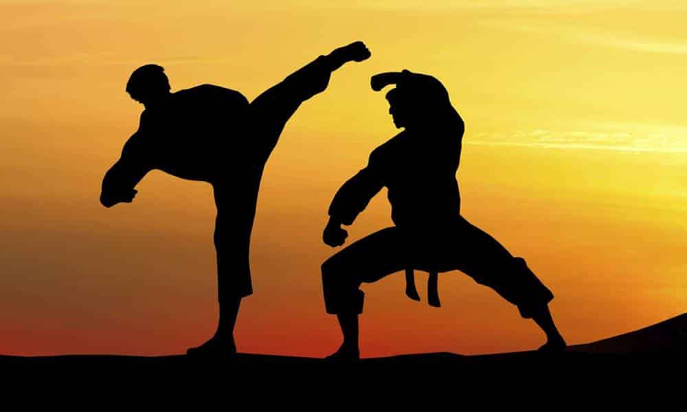 fatos curiosos sobre o karate 1 1