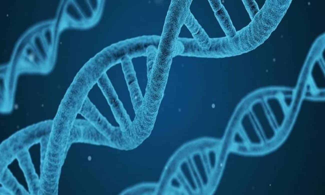 genes inusitados que podemos herdar dos nossos pais 1 1