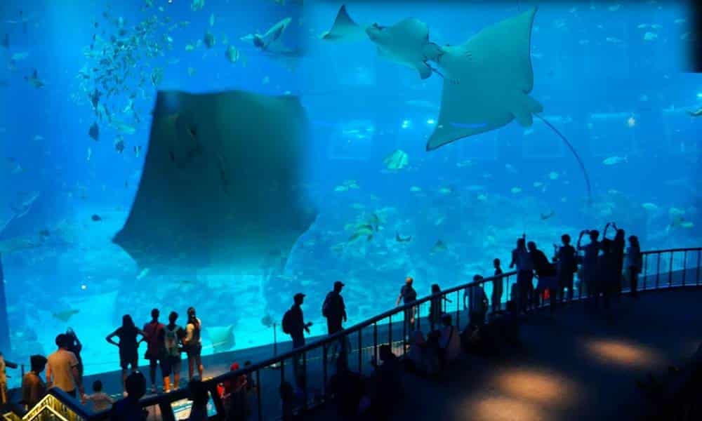 maiores aquarios do mundo 1 1