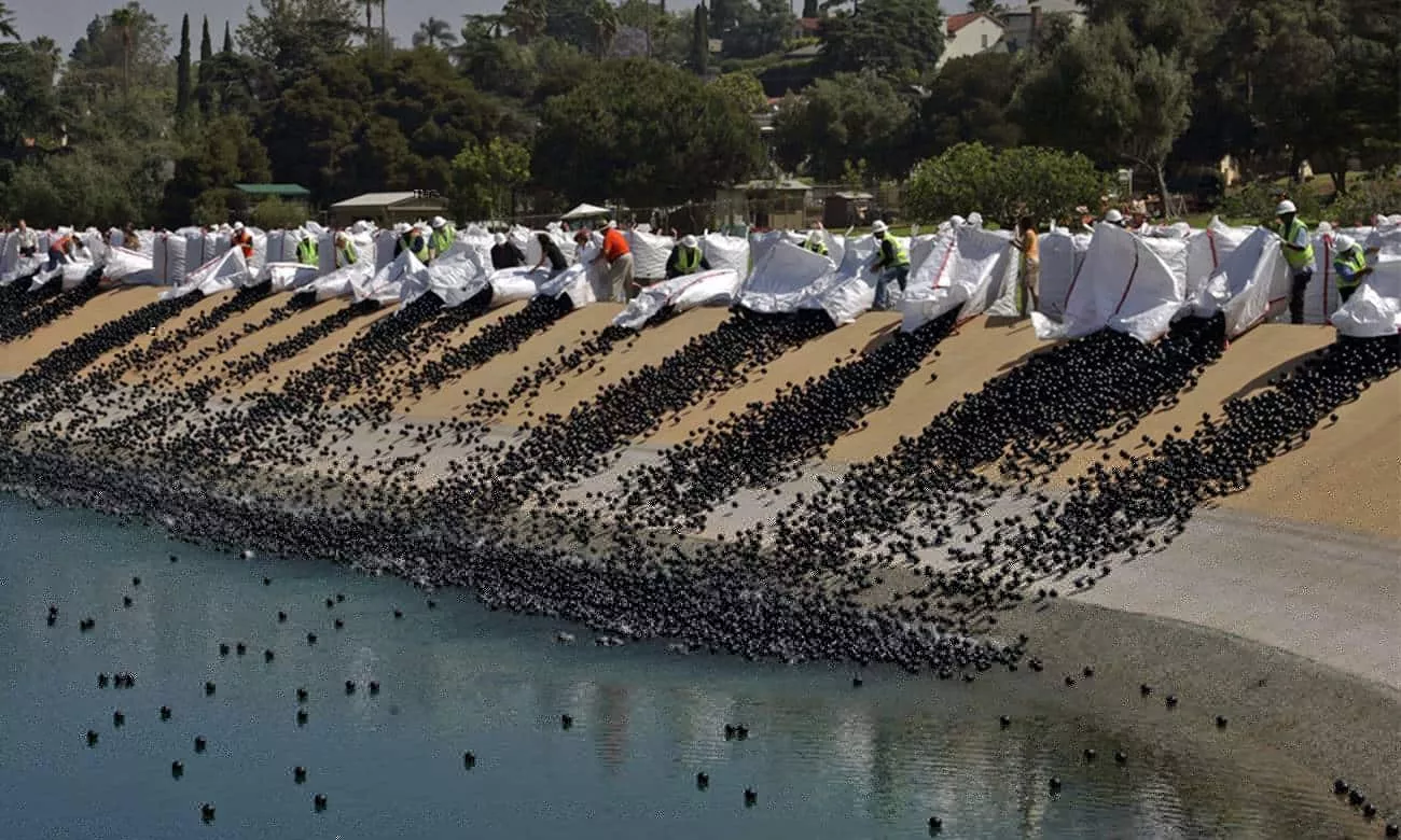 milhoes de bolas de plastico foram despejadas em um reservatorio de los angeles 1 1