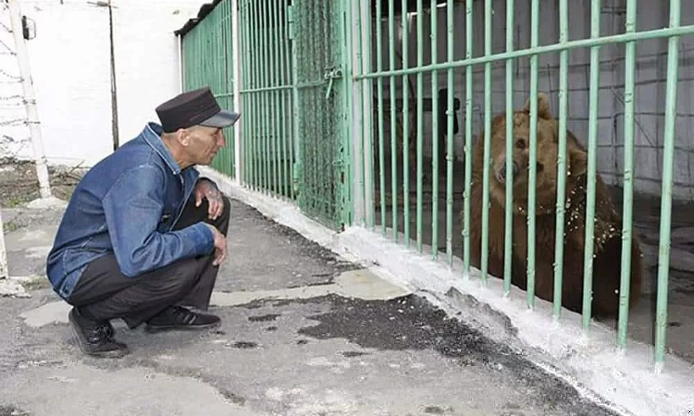 o curioso caso da ursa que cumpre prisao perpetua em um presidio no cazaquistao 1 1