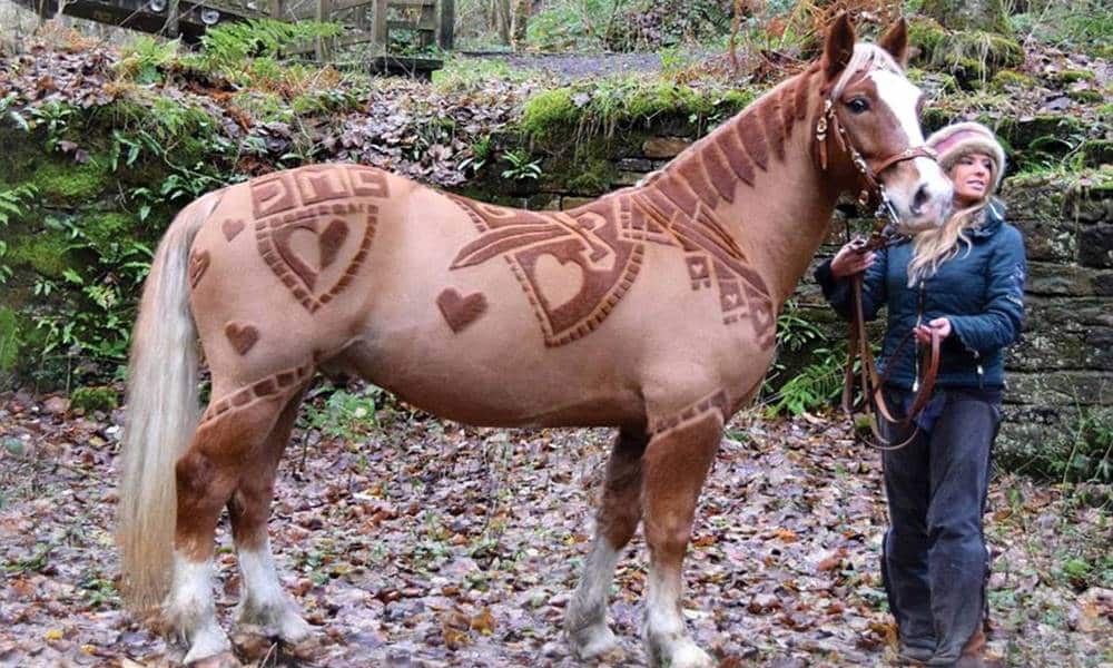 o curioso trabalho da artista que transforma cavalos em obras de arte 1 1