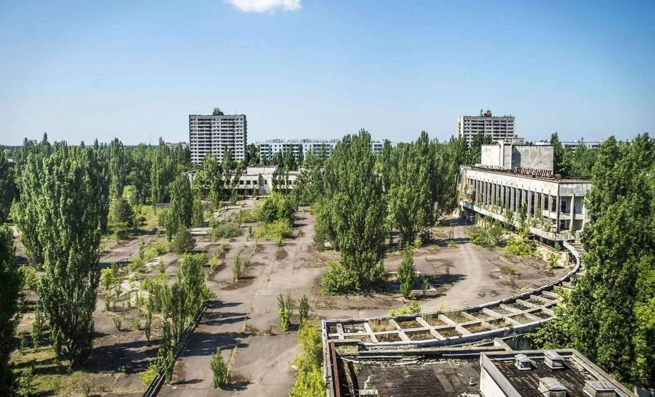 por que a radiacao nao matou as plantas na regiao de chernobyl 1 1 1