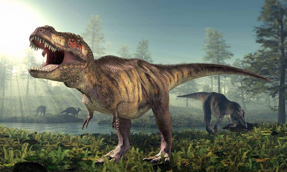 por que o tiranossauro rex tinha bracos tao pequenos 1 1