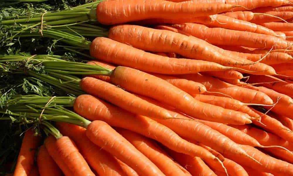 quais sao os beneficios da cenoura para a saude 1 1