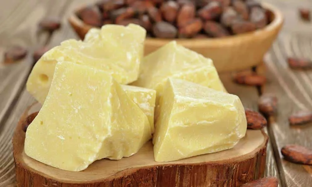quais sao os beneficios da manteiga de cacau para a saude 1 1