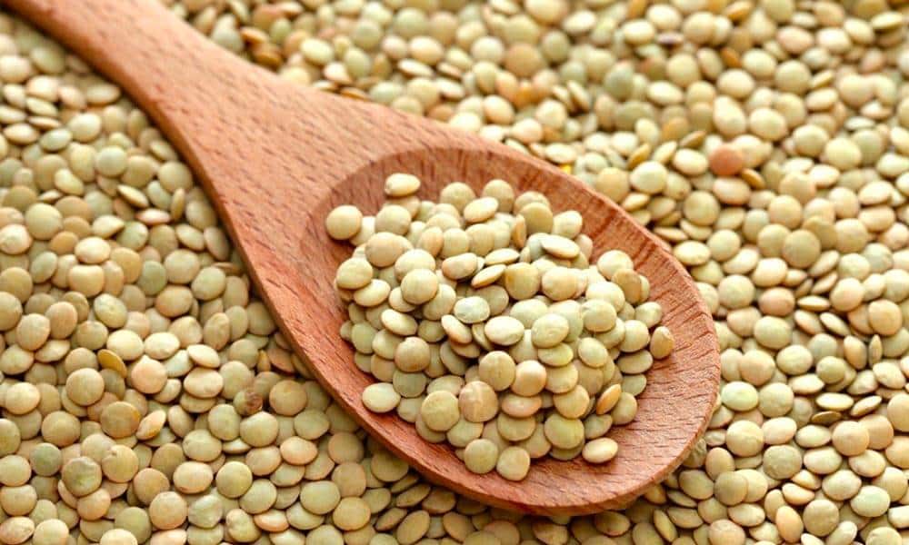 quais sao os beneficios das lentilhas para a saude 1 1
