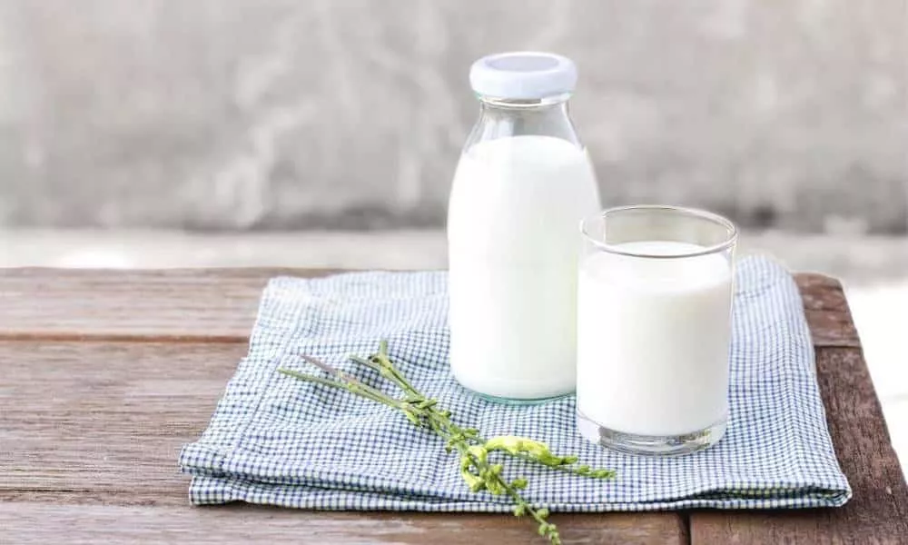 quais sao os beneficios do leite para a saude 1 1