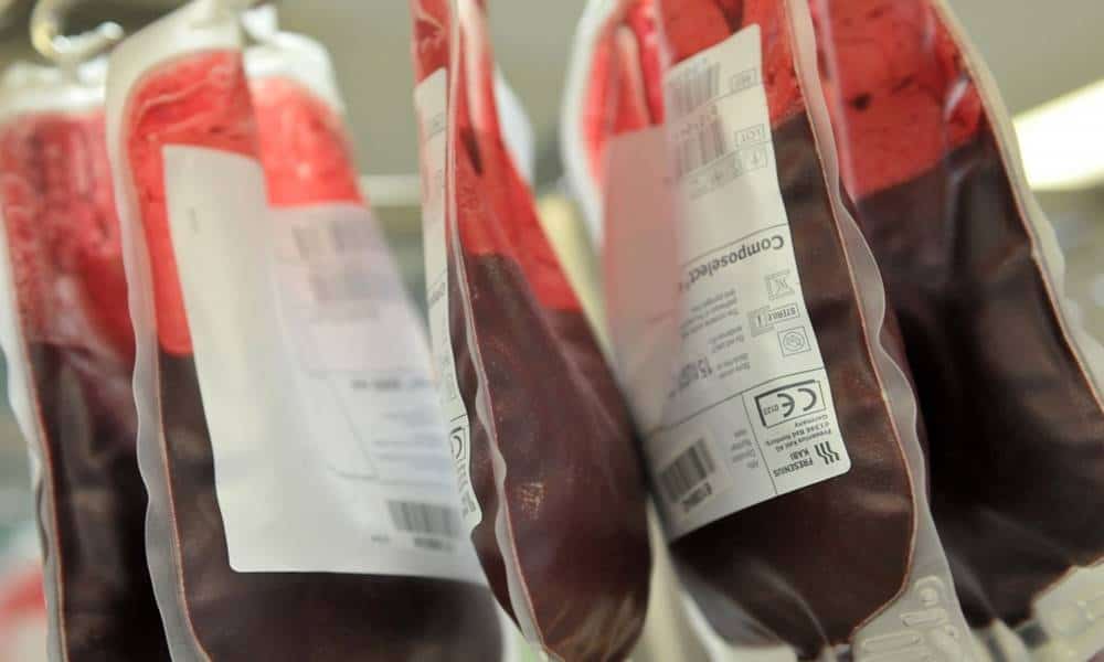 quantos litros de sangue tem o corpo humano 1
